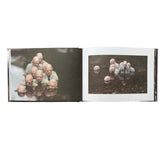 Cement Eclipses: Small Interventions in the Big City